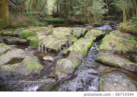 白水觀音與奇石 86714394