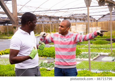 Farm owner dissatisfied with hired worker in orangery 86715796