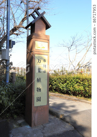 市川市萬葉植物園 千葉縣 市川市萬葉植物園 千葉縣 86717953
