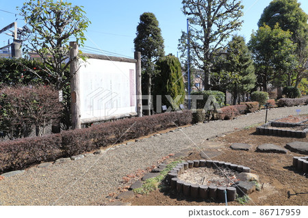 市川市萬葉植物園 千葉縣 市川市萬葉植物園 千葉縣 86717959