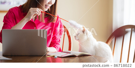 Women and cats 86718022