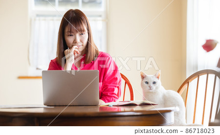 Female and cat telework Female and cat telework 86718023