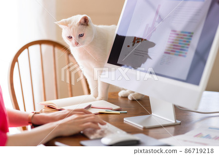 Telework women and cats 86719218