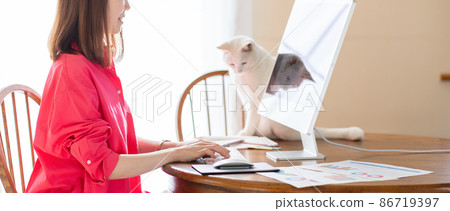 遠程辦公的婦女和貓 86719397