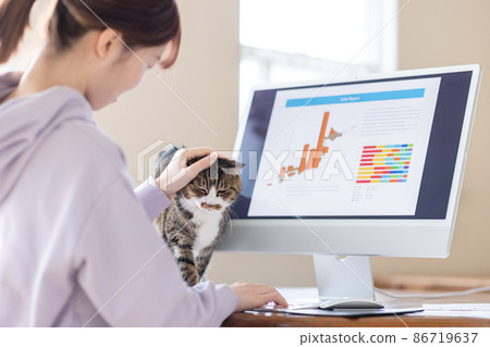 Telework women and cats 86719637