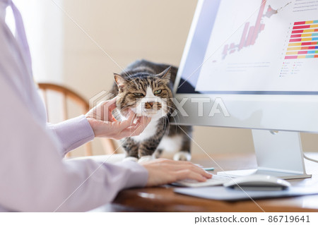 Telework women and cats 86719641