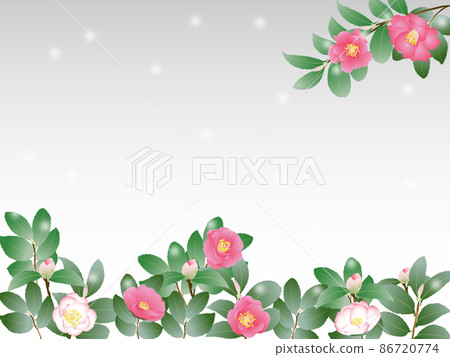 Sasanqua / Snow 86720774