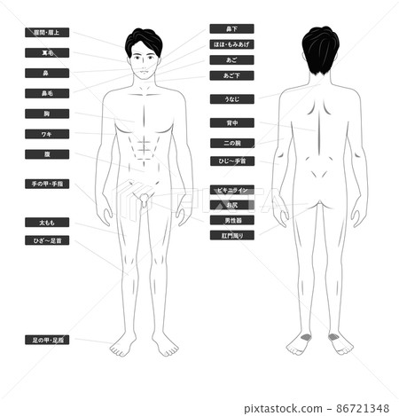 白色背景上的線條圖的圖像插圖，指示亞洲年輕男子脫毛美學的全身位置 86721348