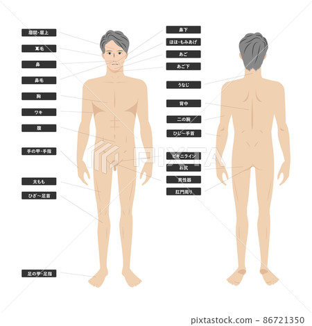 白色背景上沒有線條的亞洲高級男性脫毛美學的圖像插圖 86721350