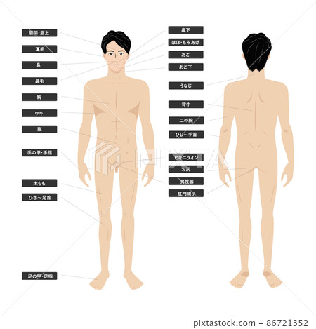 白色背景的圖像說明，顯示了亞洲年輕男子的全身脫毛美學 86721352