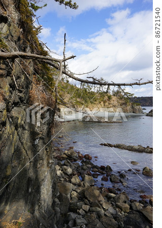 二月的氣仙沼大島 86721540