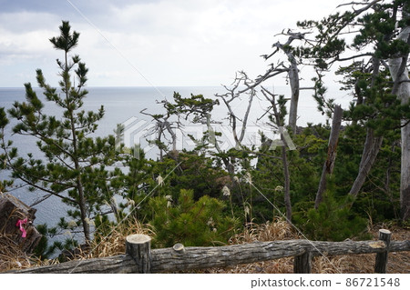 二月的氣仙沼大島 二月的氣仙沼大島 86721548