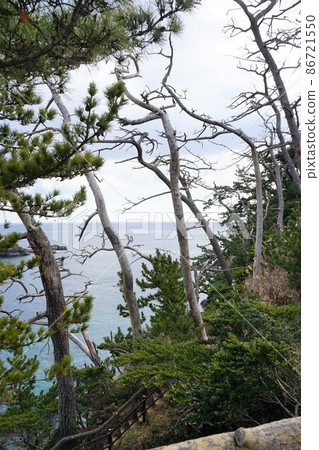 二月的氣仙沼大島 二月的氣仙沼大島 86721550