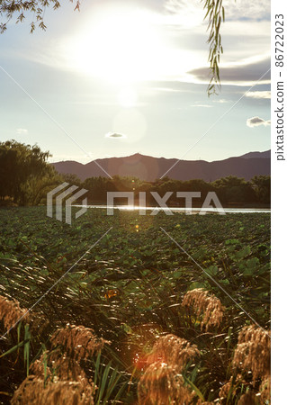 China Beijing summer palace lake wonderful view  86722023