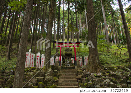 [Hakone Town, Kanagawa Prefecture] Choanji Temple Toyokawa Inari 86722419
