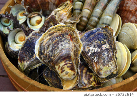 Takanabe's natural oysters grown in rich forests and the rough seas of Hyuga-nada Takanabe's natural oysters grown in rich forests and the rough seas of Hyuga-nada 86722614