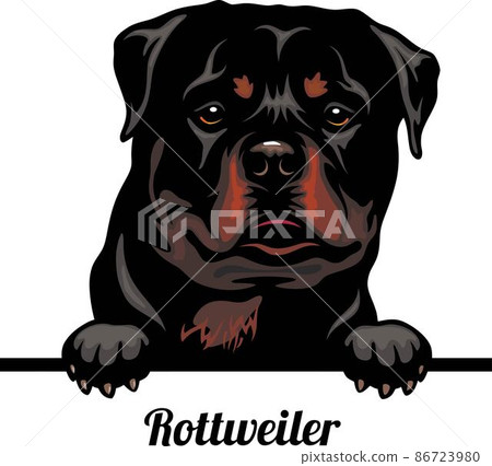 is the rottweiler legal in cayman islands