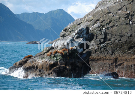 美國阿拉斯加暑期旅行 美國阿拉斯加暑期旅行 86724813