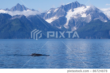 美國阿拉斯加暑期旅行 86724878