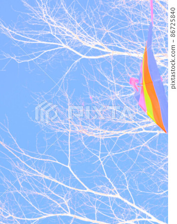 Kite background material caught in a tree Kite background material caught in a tree 86725840