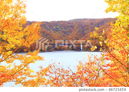 Lake Hibara Bridge and Autumn Leaves Lake Hibara Bridge and Autumn Leaves 86725859