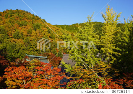 Reishoji是位於北阿爾卑斯山腳下的長野縣大町市的曹洞宗寺廟。 Reishoji是位於北阿爾卑斯山腳下的長野縣大町市的曹洞宗寺廟。 86726114