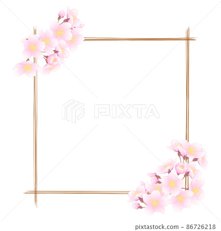 Sakura Line Frame Sakura frame ⑭ (square, hand-painted line... - Stock Illustration ...