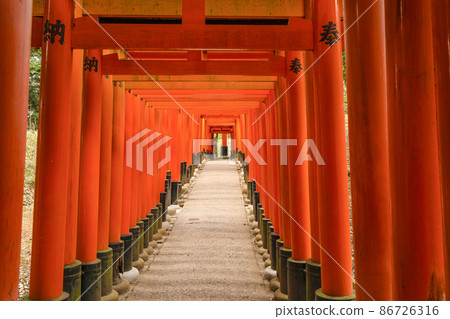Kyoto Fushimi Inari Taisha Senbon Torii 86726316
