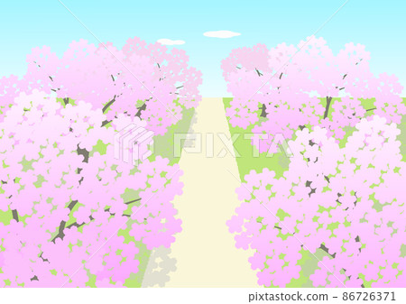 Under the blue sky, a tree-lined road of cherry blossoms in full bloom. Yoshino cherry tree. Under the blue sky, a tree-lined road of cherry blossoms in full bloom. Yoshino cherry tree. 86726371