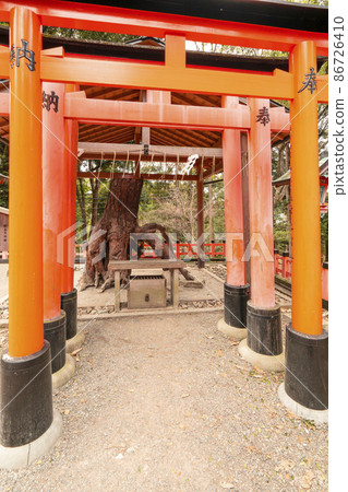 京都伏見稻荷大社 86726410