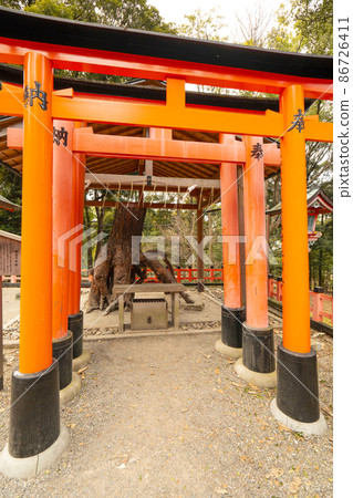 Kyoto Fushimi Inari Taisha Kyoto Fushimi Inari Taisha 86726411