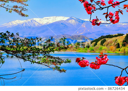 鮮綠、湖水和殘雪的棗山山脈 鮮綠、湖水和殘雪的棗山山脈 86726434