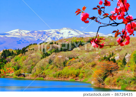 Zao mountain range of fresh green, lake and remaining snow 86726435