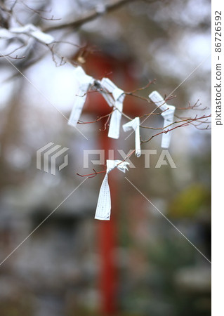 Omikuji tied to a branch 86726592