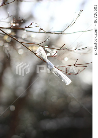 Omikuji wet in the rain 86726603