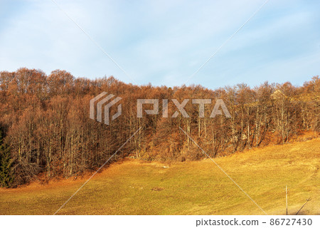 Beautiful Beech Forest and Meadow on Lessinia High Plateau - Verona Italy 86727430