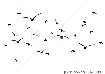 A flock of flying birds. Free birds. Vector illustration 86729092