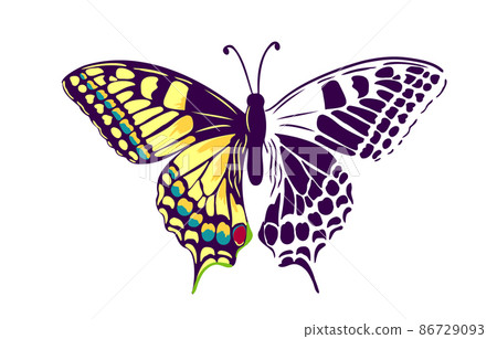 Decorative butterfly vector card. Insect illustration in bright colors. Stylish butterfly print design for t-shirt. Vector illustration 86729093