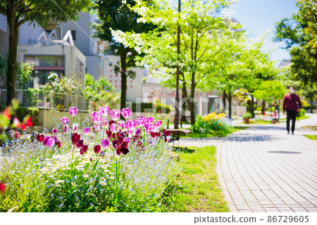 Suburban residential area, a living road where spring flowers bloom 86729605
