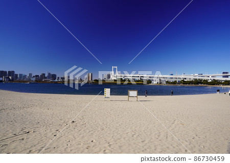 東京海濱城市台場海洋公園 東京海濱城市台場海洋公園 86730459