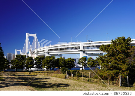 Rainbow Bridge seen from Daiba Park Rainbow Bridge seen from Daiba Park 86730523