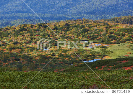 Autumn leaves of Asahi-dake, Hokkaido Autumn leaves of Asahi-dake, Hokkaido 86731429