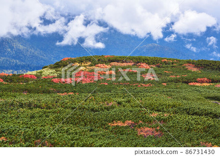 Autumn leaves of Asahi-dake, Hokkaido 86731430