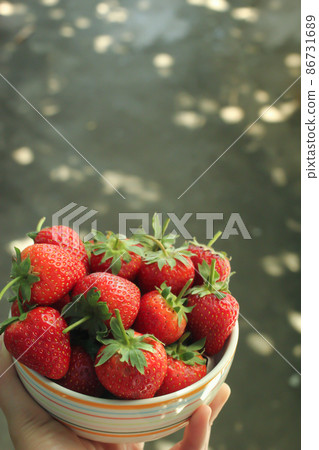 Fresh strawberry in a bowl on hand for breakfast with copy space. Fresh strawberry in a bowl on hand for breakfast with copy space. 86731689