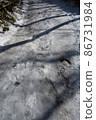 雪樹蔭山路 86731984