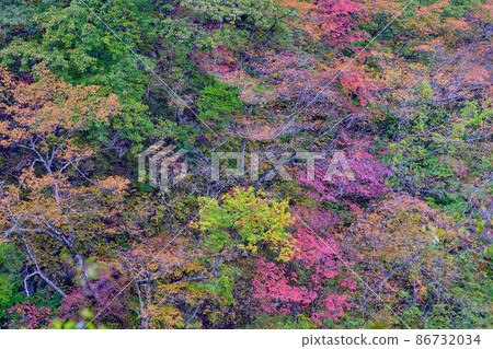 金山山 金山山 86732034