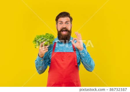 Happy man in apron showing OK holding fresh leaf lettuce yellow background, greengrocer 86732387