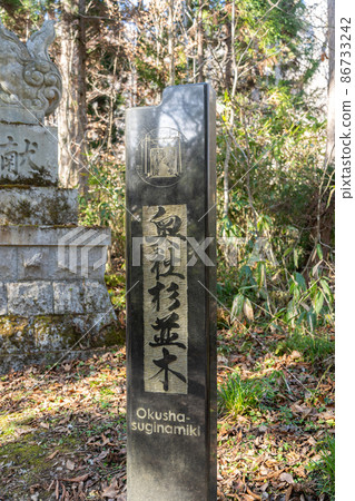[Nagano Prefecture] Togakushi Shrine Okusha 86733242