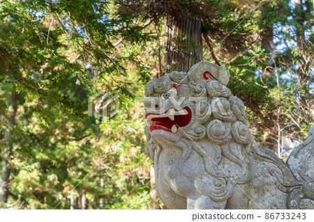 [Nagano Prefecture] Togakushi Shrine Okusha 86733243