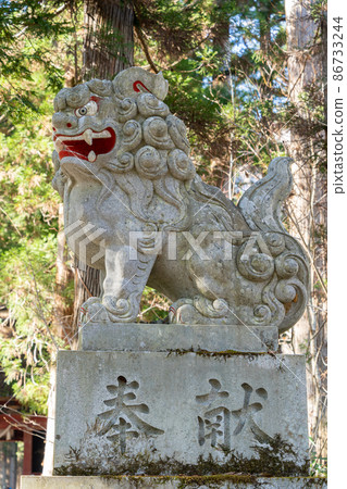 [長野縣]戶隱神社奧社 86733244